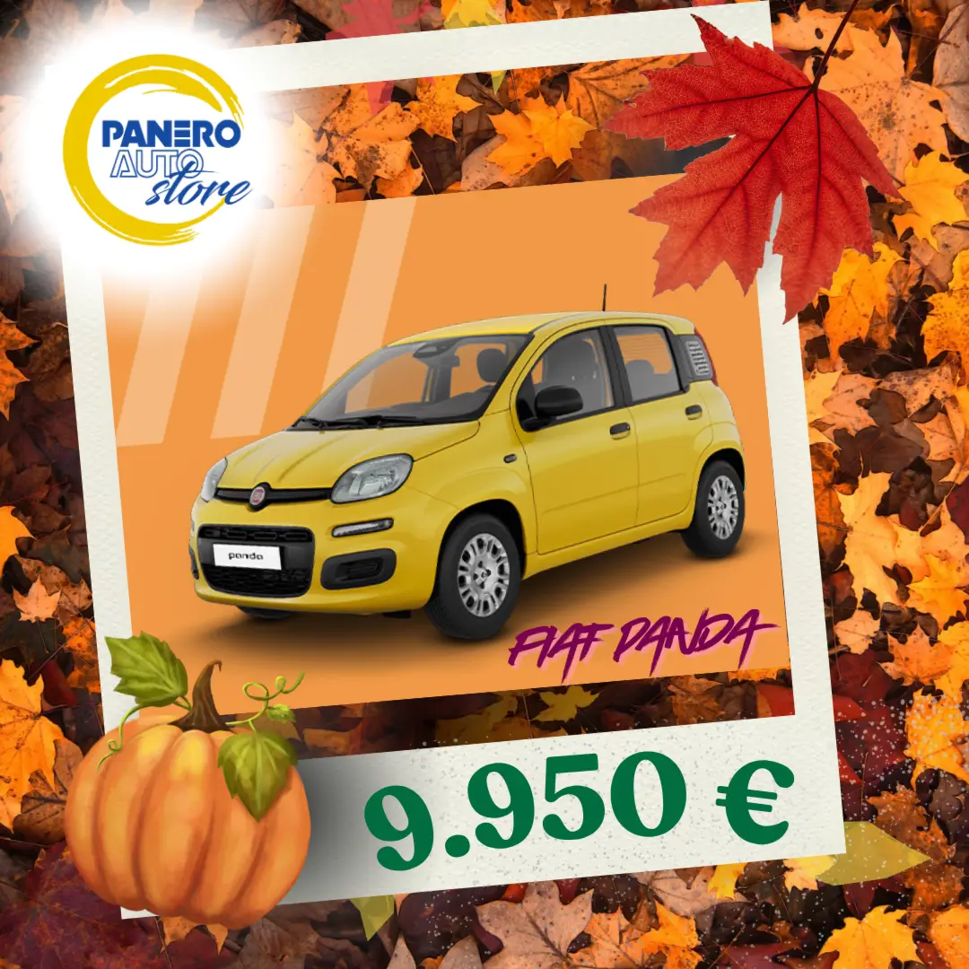 Fiat Panda Km0 Panero Auto, tua da 9.950€
