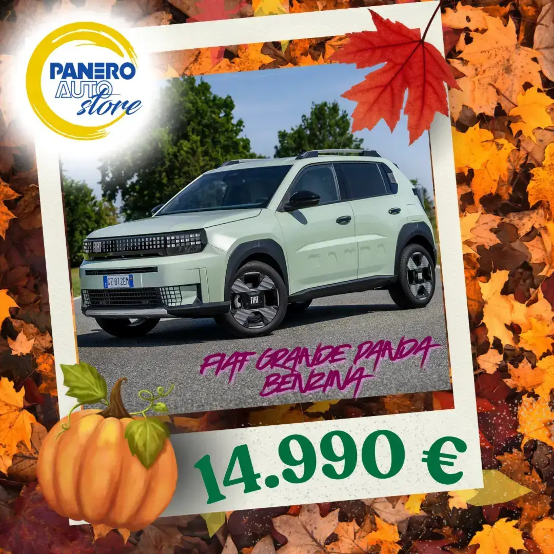 Fiat Grande Panda Benzina a 14.990€ 