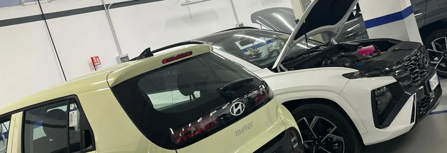 Revisioni ministeriali